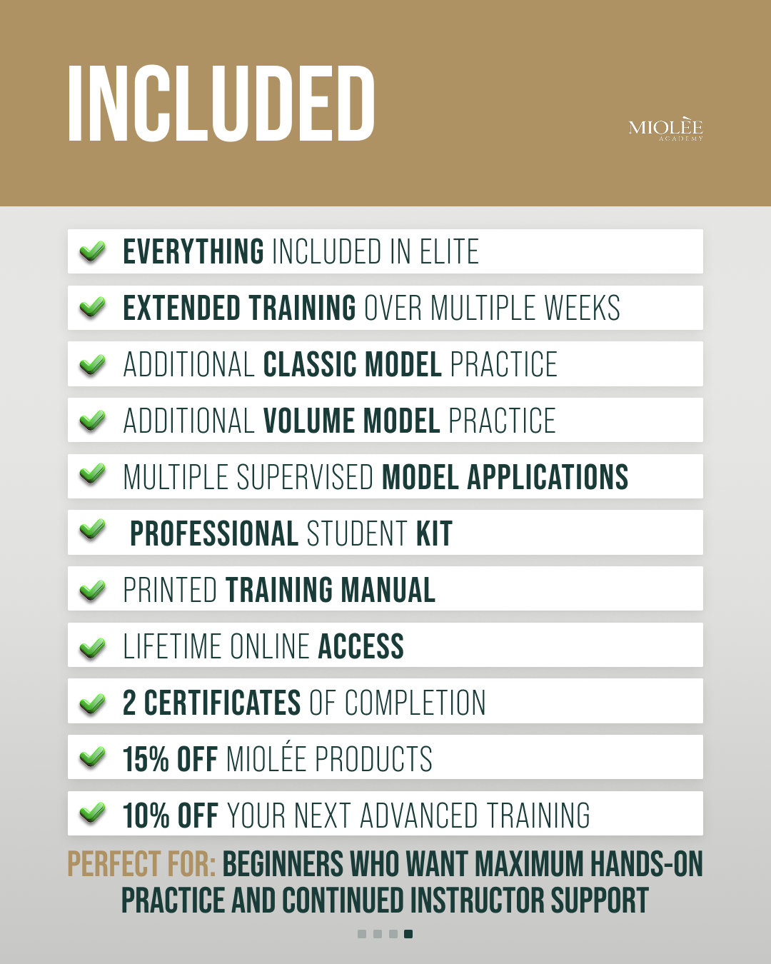 Beginner Course VIP
